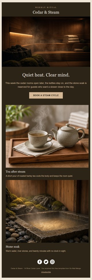 Cedar and Steam newsletter template