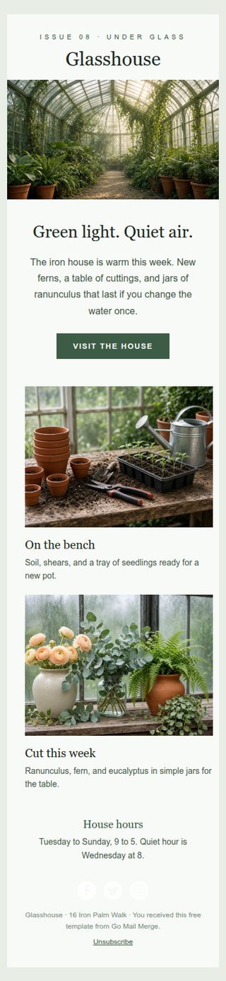 Glasshouse newsletter template